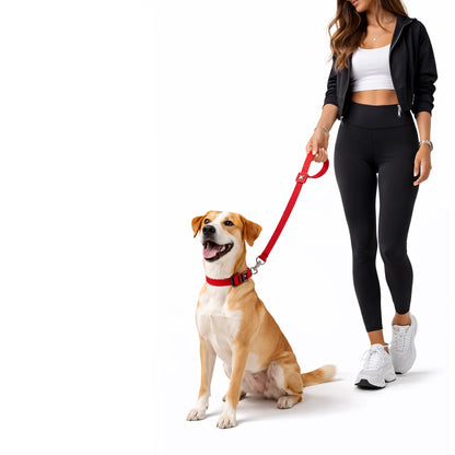 Solid Color Leash