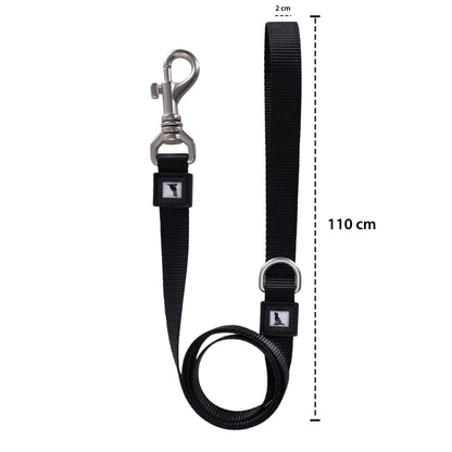 Solid Color Leash