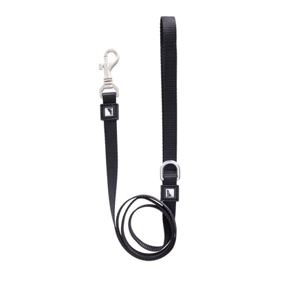 Solid Color Leash