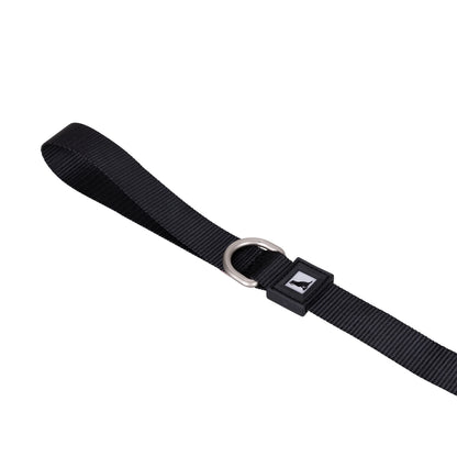 Solid Color Leash
