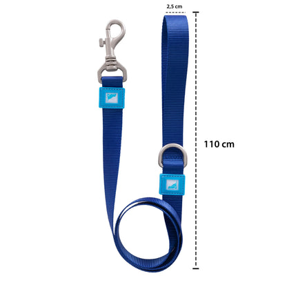 Solid Color Leash