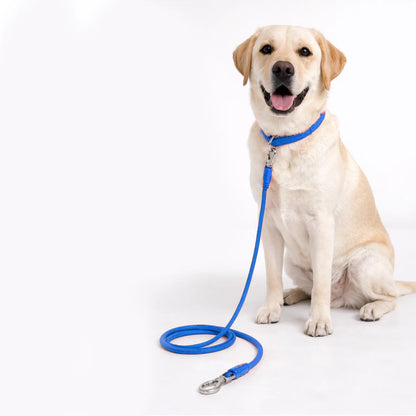 Polypropylene Rope Leash - 11mm/180cm