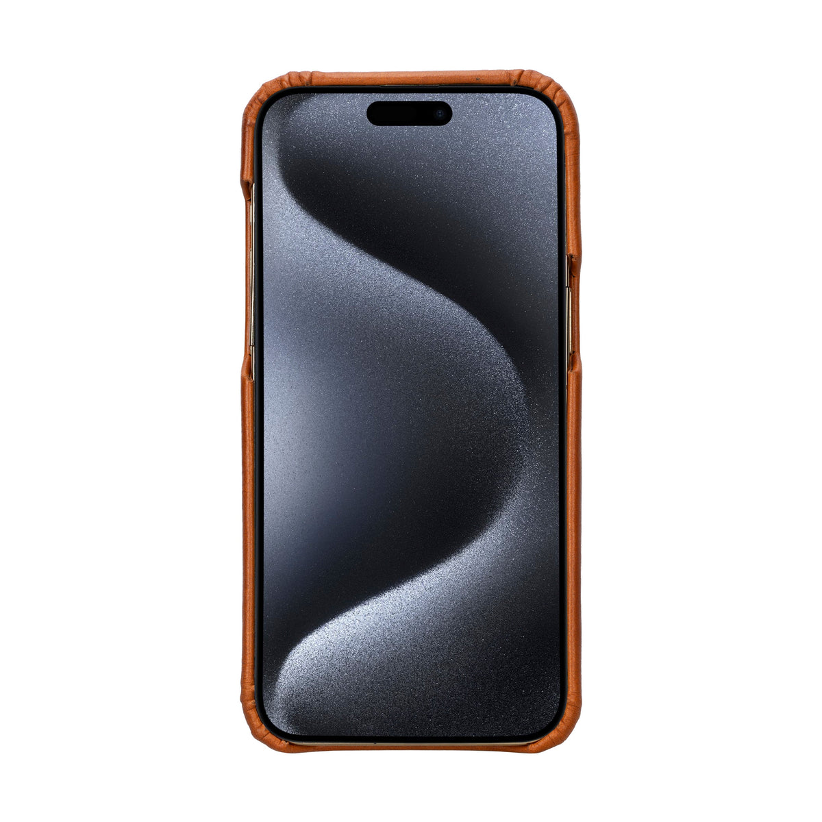 #model_iPhone 16 Pro