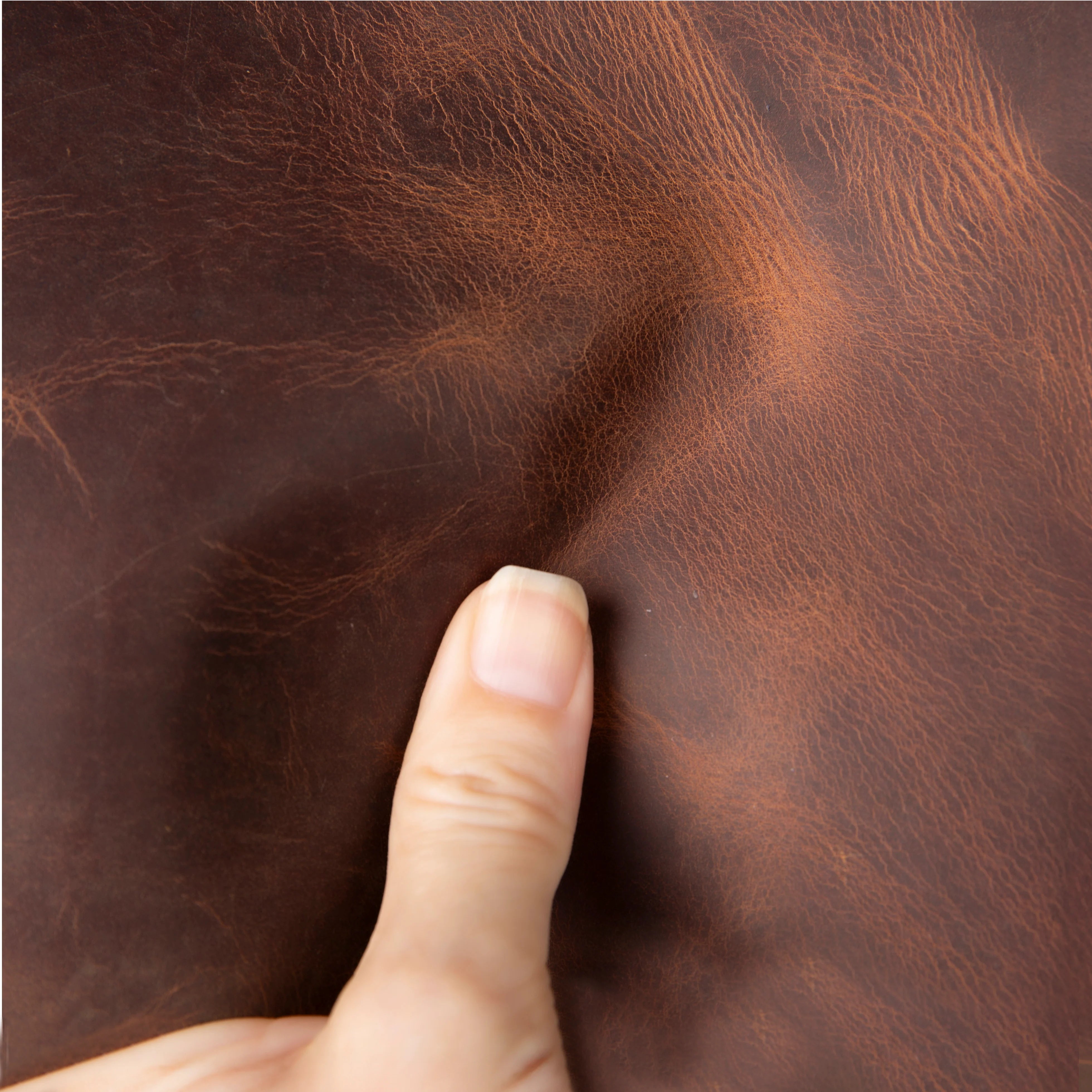 Dacia Leather Passport Wallet