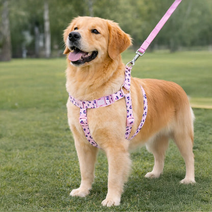 Patterned Recycled H-Type Harness