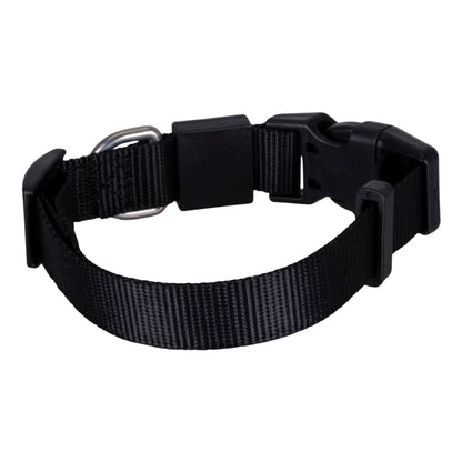 Solid Color Dog & Cat Collar