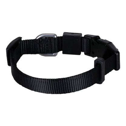 Solid Color Dog & Cat Collar