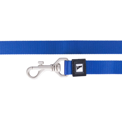Solid Color Hands Free Leash
