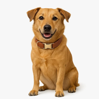 Leslie Leather Dog Collar