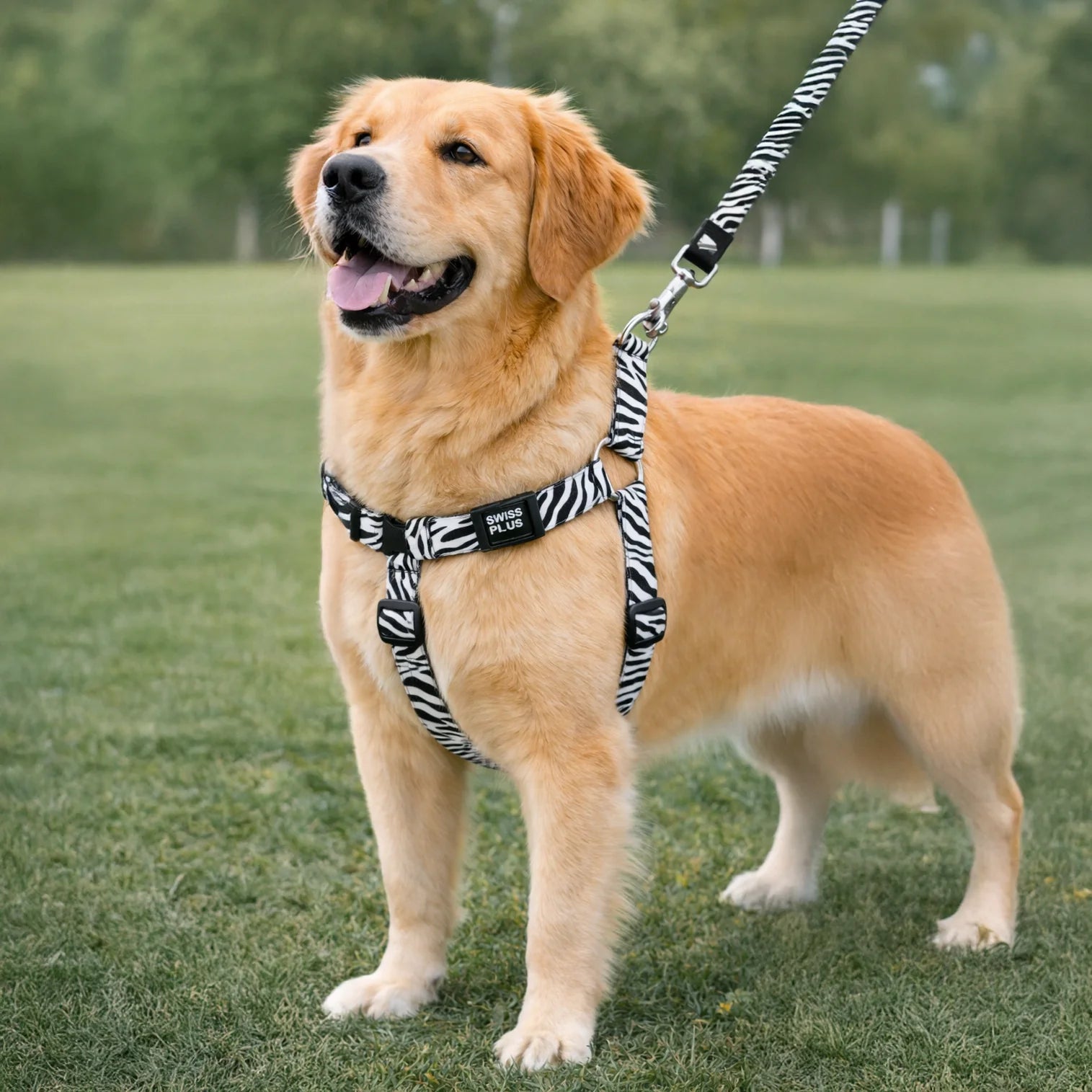 Patterned Recycled H-Type Harness