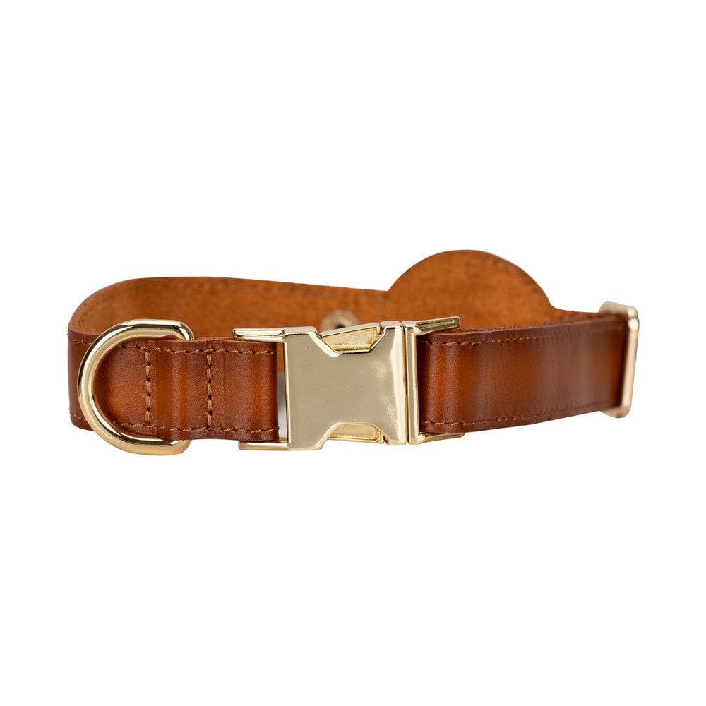 Adjustable Leather Dog Collar with AirTag Holder - The Stitched Cow